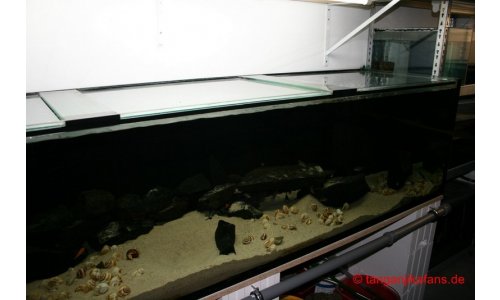 Schaubecken 900l